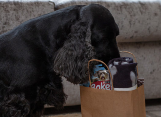 Sparkling 2 Night Summer Getaway